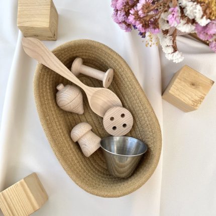 CESTA BASIC